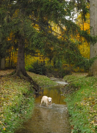 outdoor photograph rod humiecki